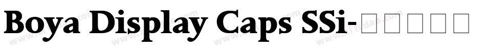 Boya Display Caps SSi字体转换